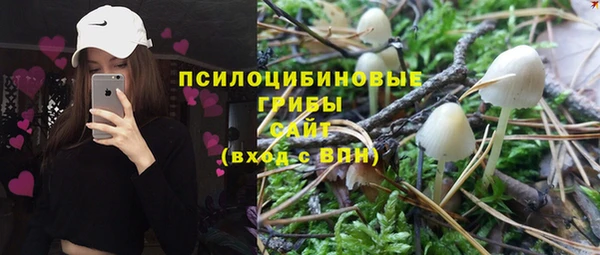 2c-b Богданович