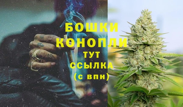 2c-b Богданович