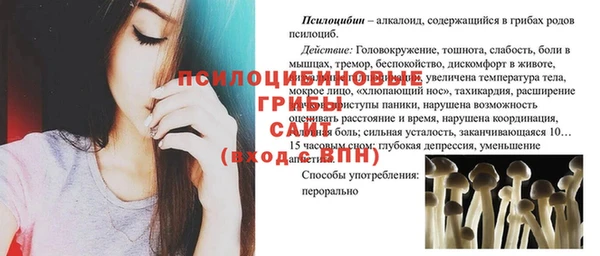 apvp Богородицк