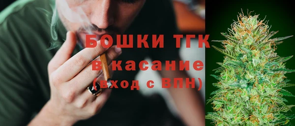 apvp Богородицк